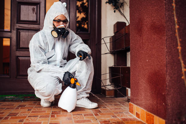 Attic and Crawl Space Rodent Treatment in Rockaway Beach